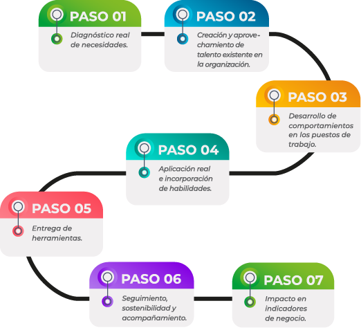 dabega_pasoapaso